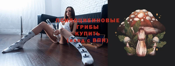 героин Алексин