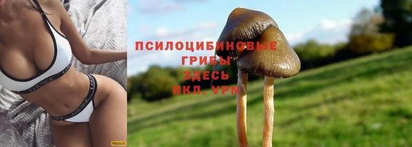 гашиш Алзамай