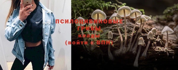 гашиш Алзамай
