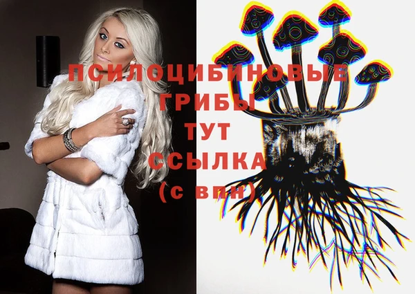 героин Алексин