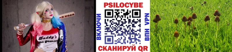 купить   Томмот  Псилоцибиновые грибы ЛСД 